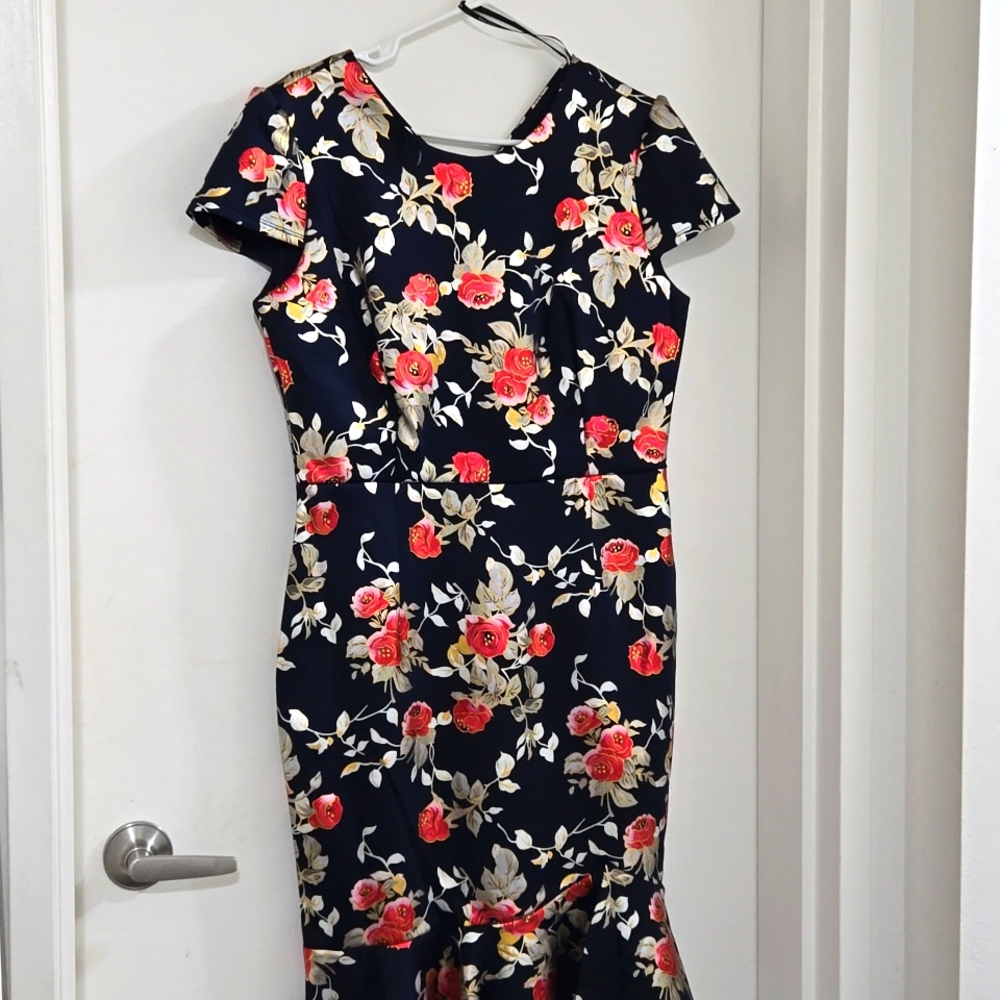 Alexa B Nites dress size petite 14P